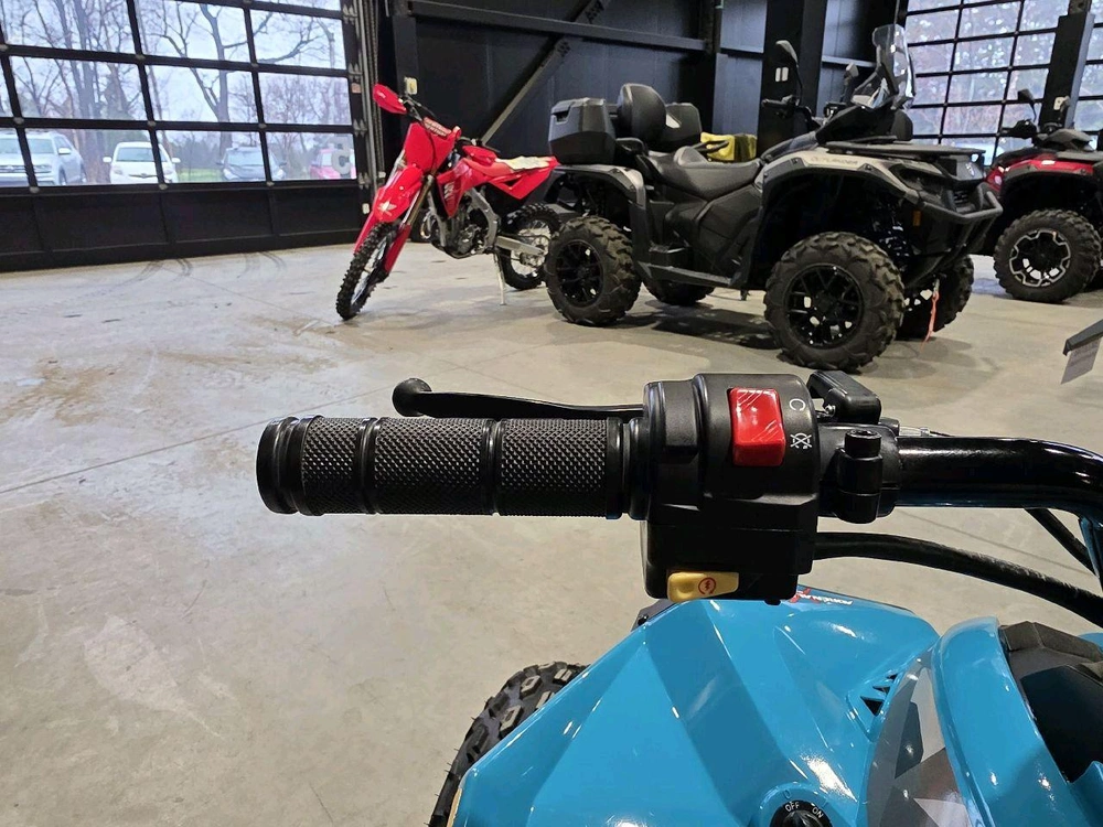 Can-am Renegade 110 Efi 2024 alt