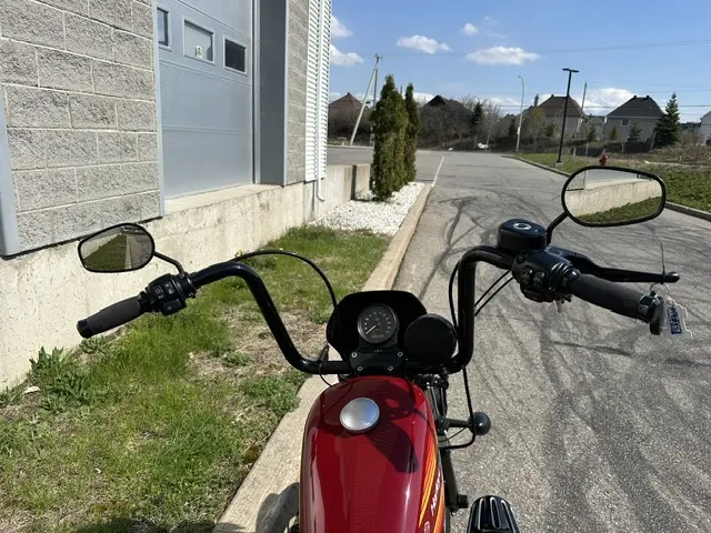 Harley-Davidson Iron 1200XL1200NS 2021