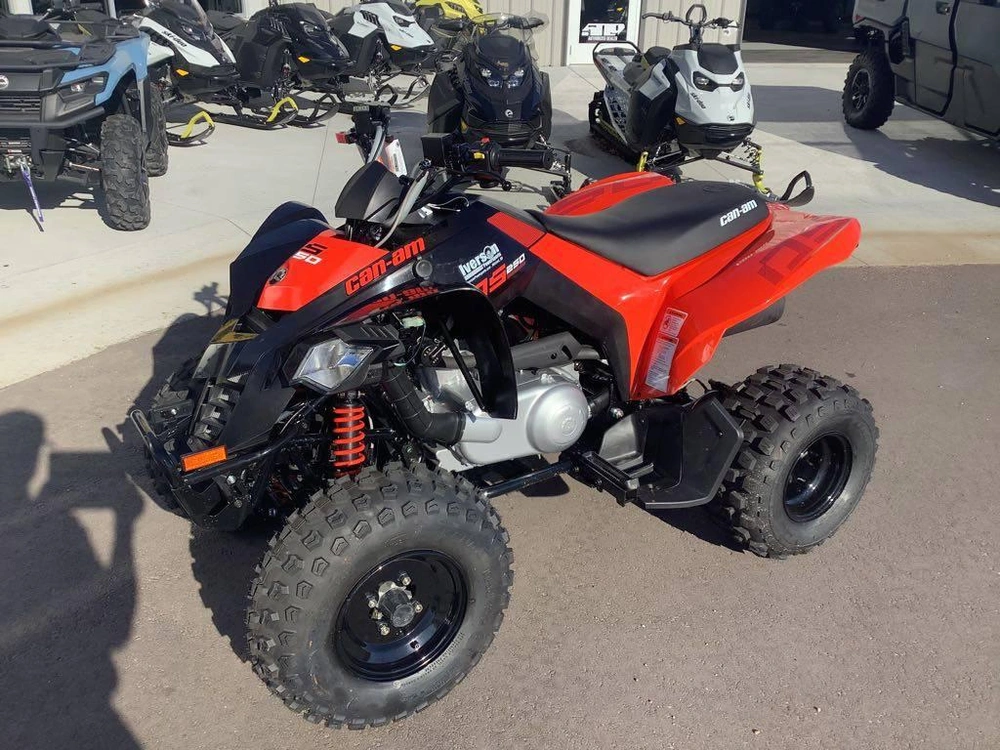 2026 Can-am Ds 250 alt