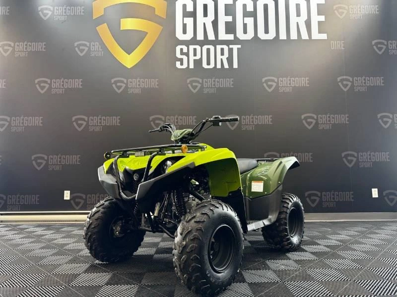 Yamaha Grizzly 110 2026 alt