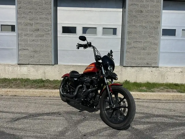 Harley-Davidson Iron 1200XL1200NS 2021