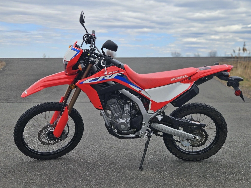Honda Honda Crf 300l 2022 alt
