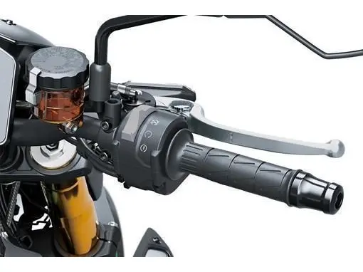 2025 Kawasaki Z900 SE thumbnail 14