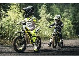 Triumph Txp-16 2026 alt