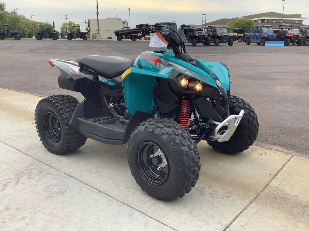 2026 Can-am Renegade 70 Efi alt