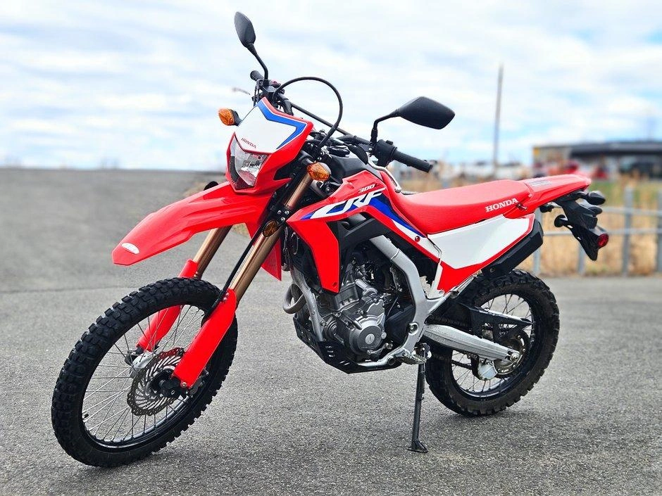 Honda Honda Crf 300l 2022 alt