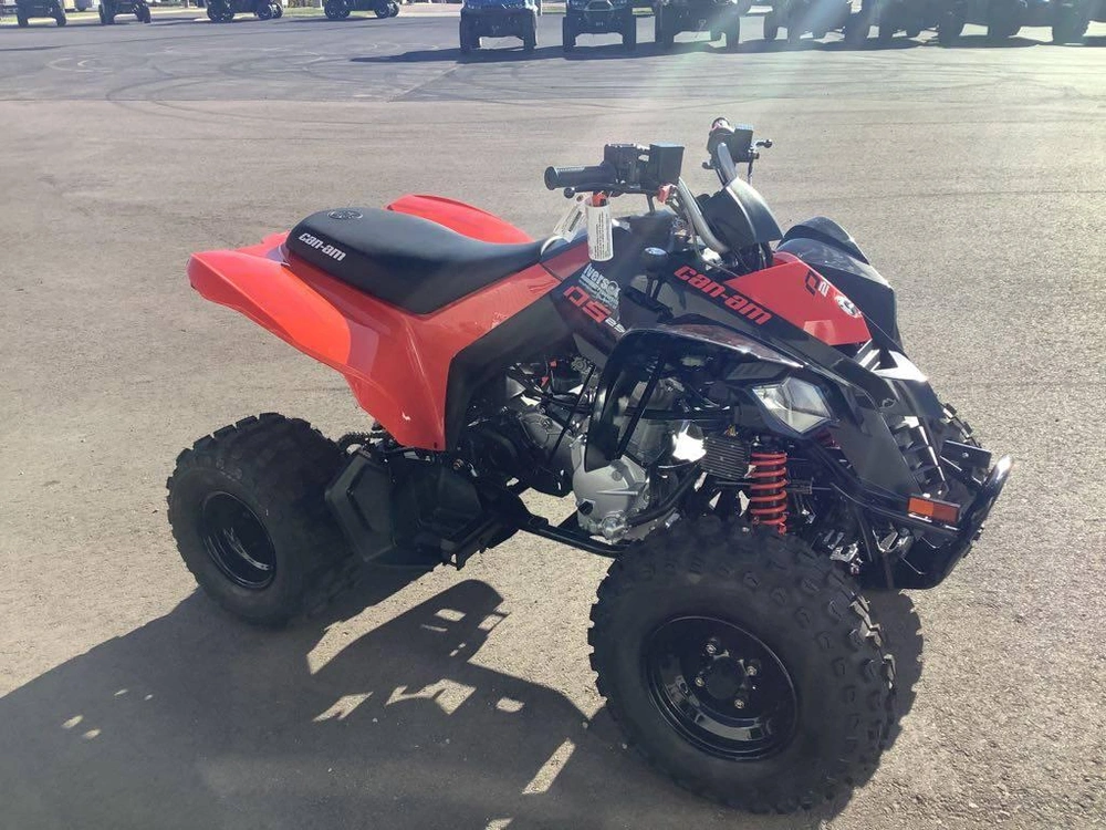 2026 Can-am Ds 250 alt