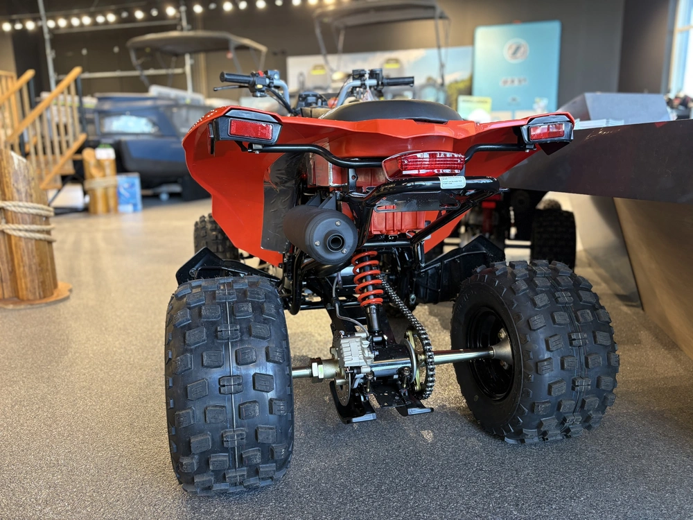 2026 Can-am Ds 250 -3jta alt