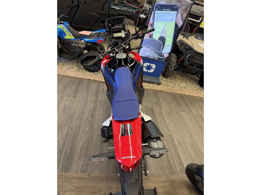 2026 Honda Crf300l Rally alt