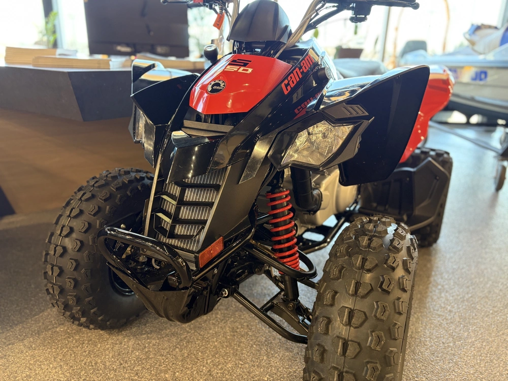 2026 Can-am Ds 250 -3jta alt