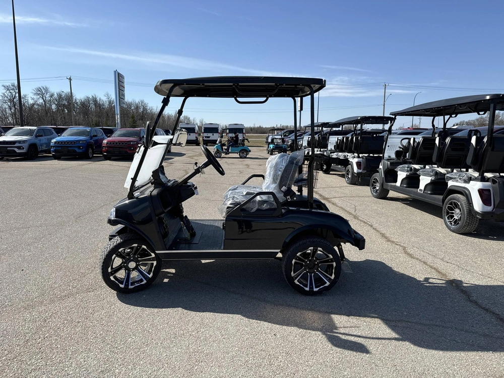 2025 Other Classic 2 Plus alt