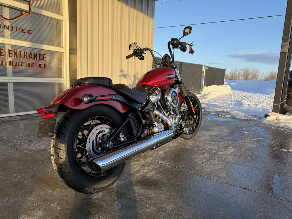 2026 Harley-davidson Street Bob alt