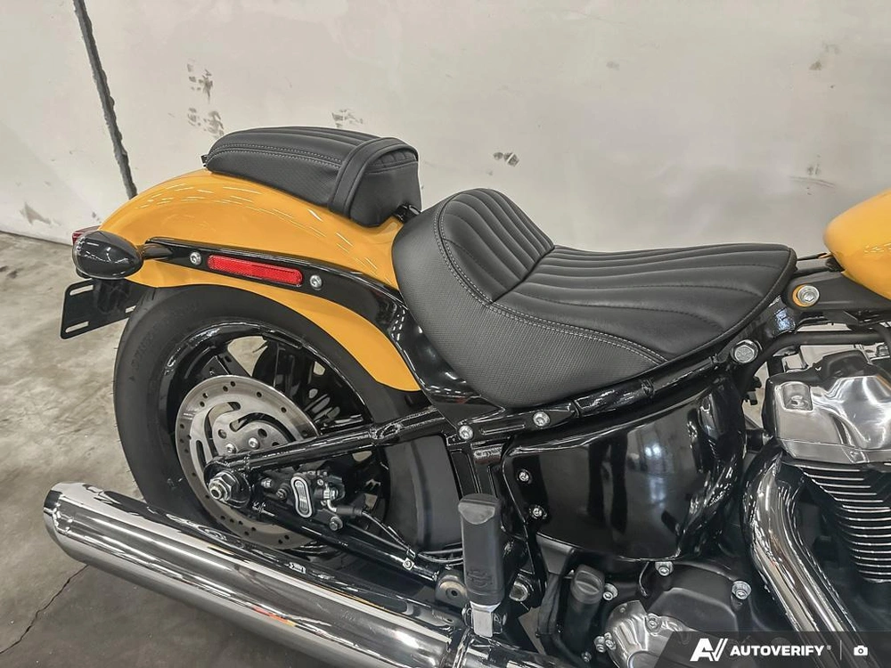 2025 Harley-davidson Street Bob alt
