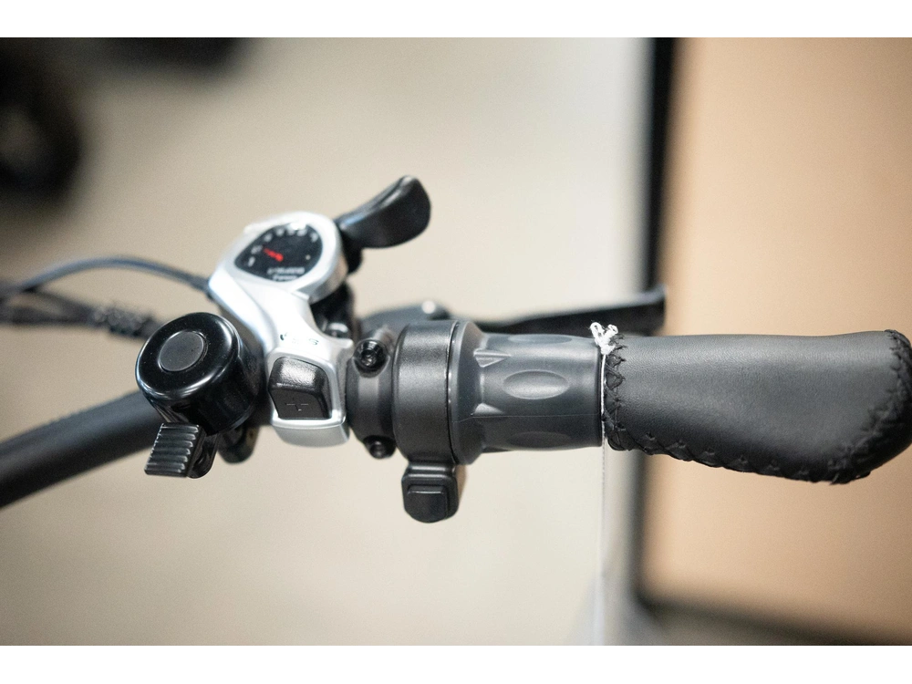 2024 Vamoose Cycle Cruiser X S0 alt