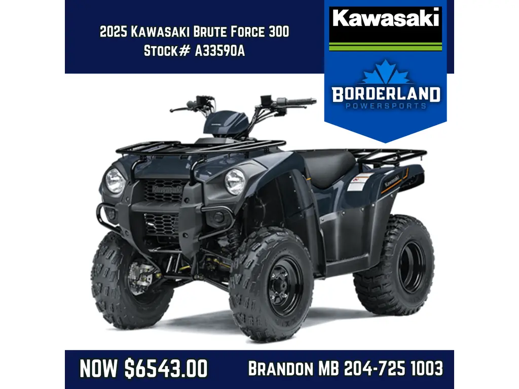 2025 Kawasaki Brute Force® 300 