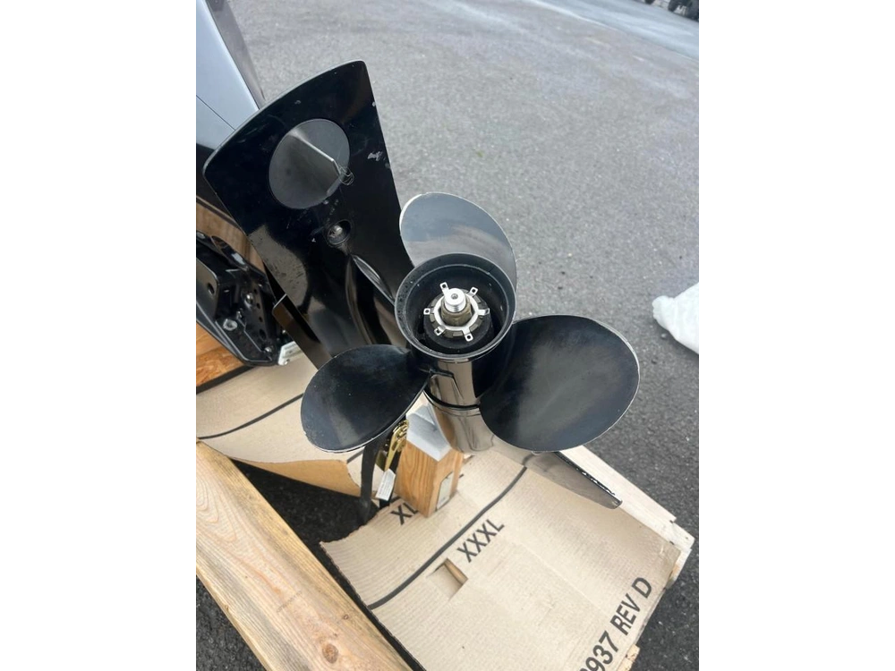 2006 Mercury 75 Hp alt