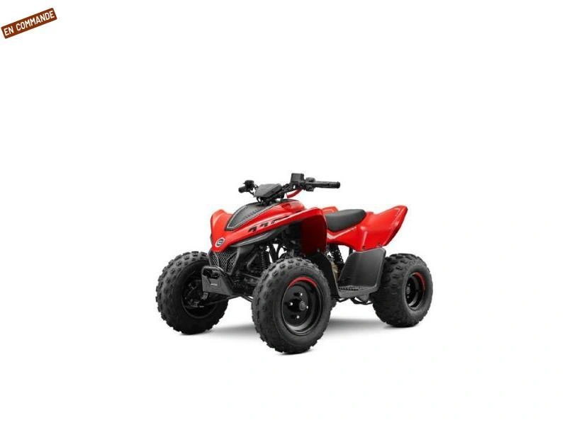 2026 Cfmoto Cforce 110 Classic alt