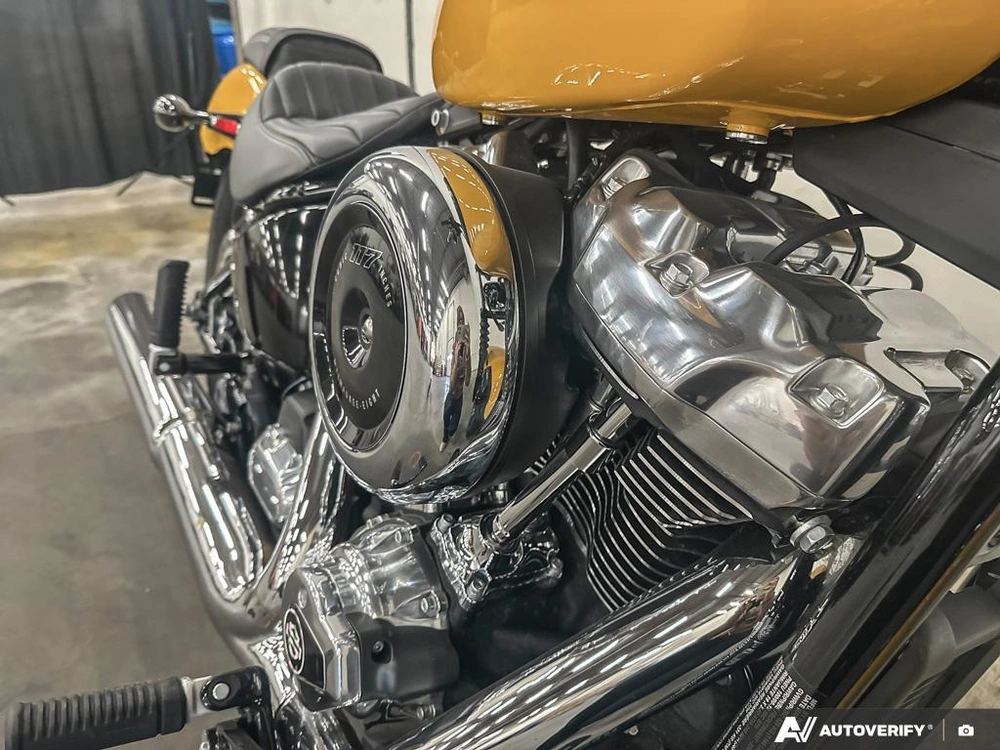 2025 Harley-davidson Street Bob