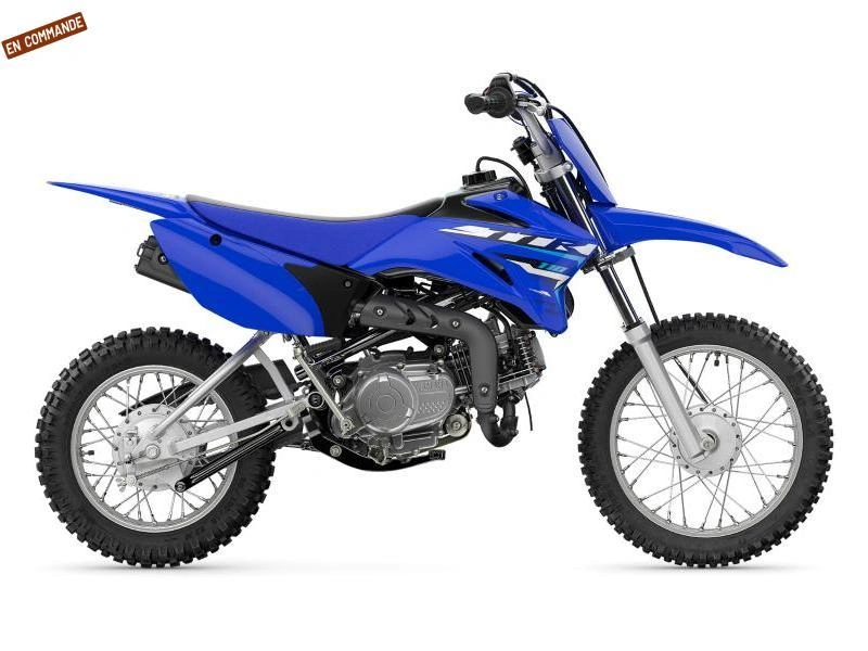 2026 Yamaha Tt-r110 alt