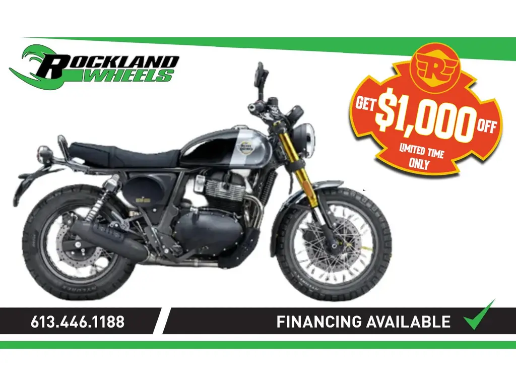 2025 Royal Enfield INTERCEPTOR BEAR 650 - GOLDEN SHADOW 