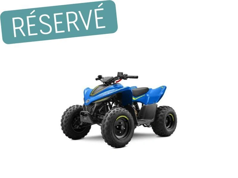 Cfmoto Cforce 110 Classic 2026 alt