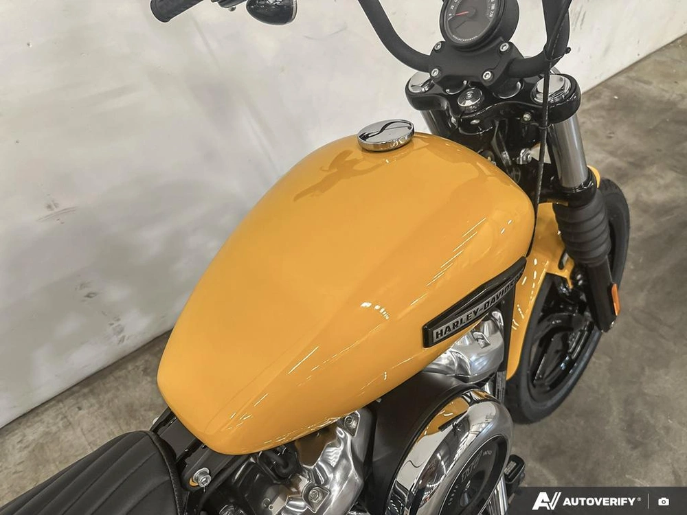 2025 Harley-davidson Street Bob alt