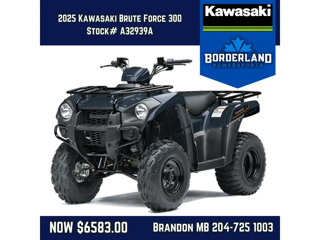 2025 Kawasaki Brute Force® 300 