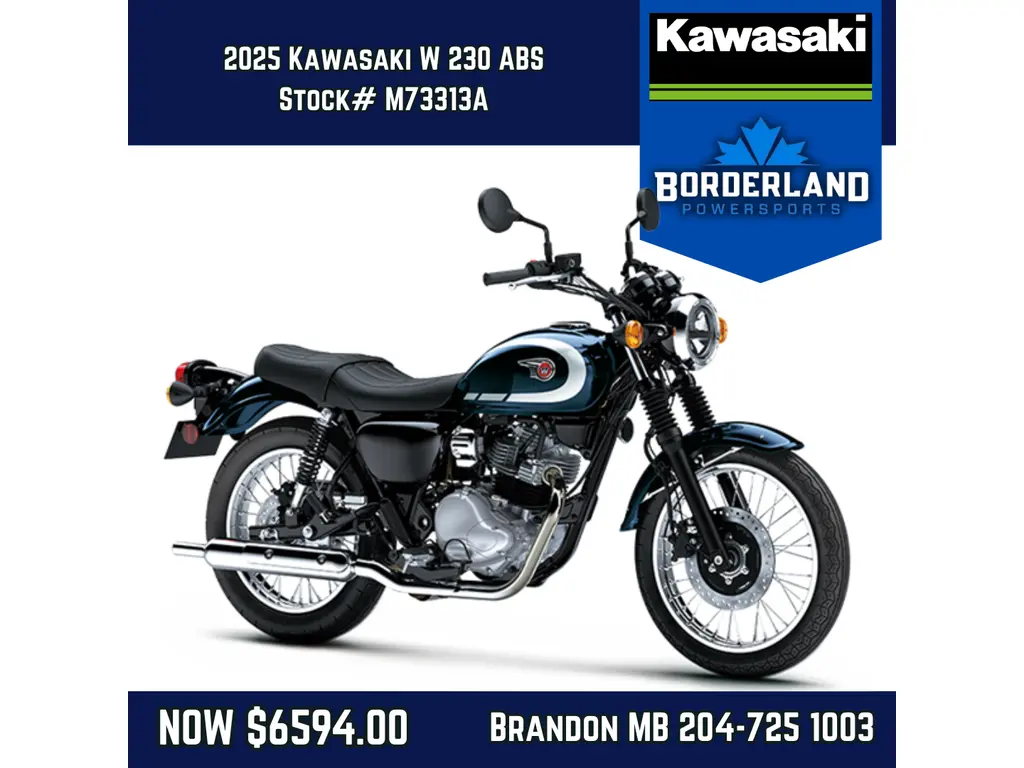 2025 Kawasaki W 230 ABS 