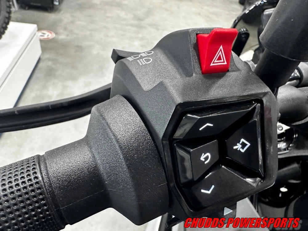 2024 Husqvarna Svartpilen 801 alt