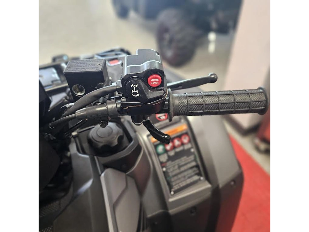 2026 Honda Fourtrax Foreman® Rubicon 4x4 Eps alt