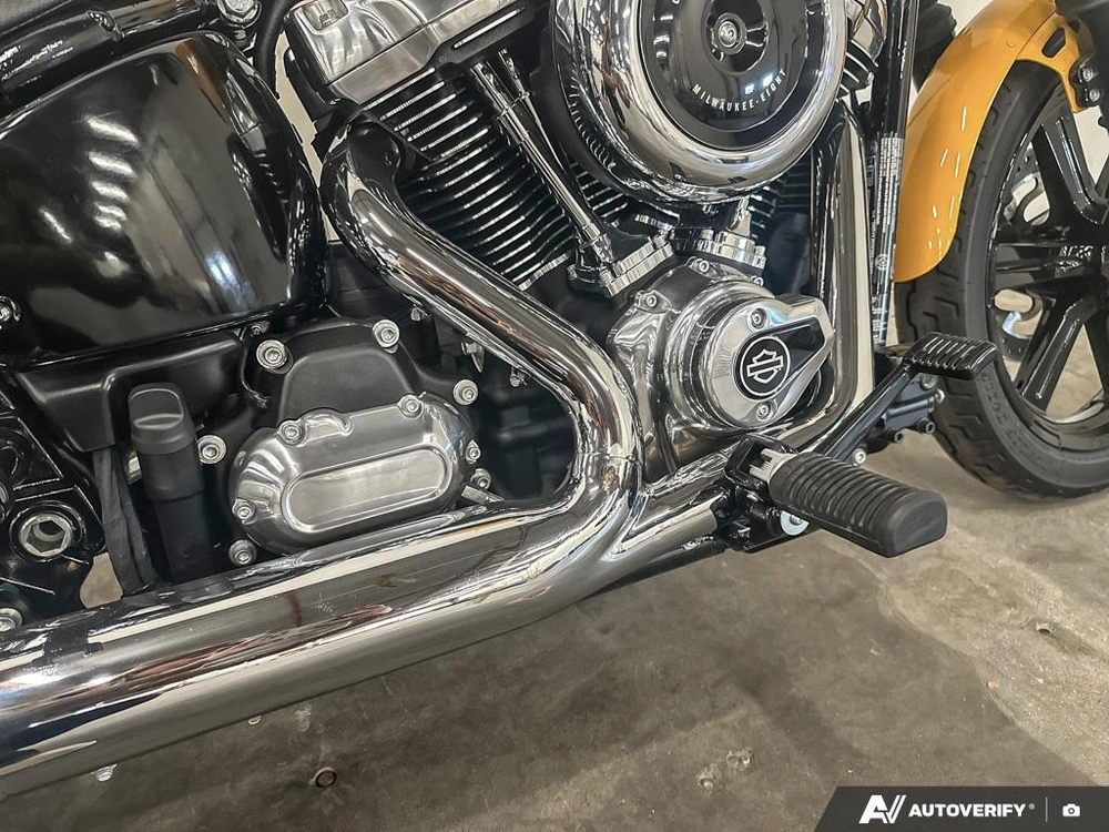 2025 Harley-davidson Street Bob alt