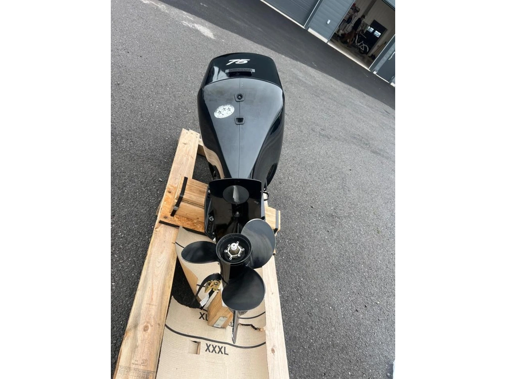 2006 Mercury 75 Hp alt