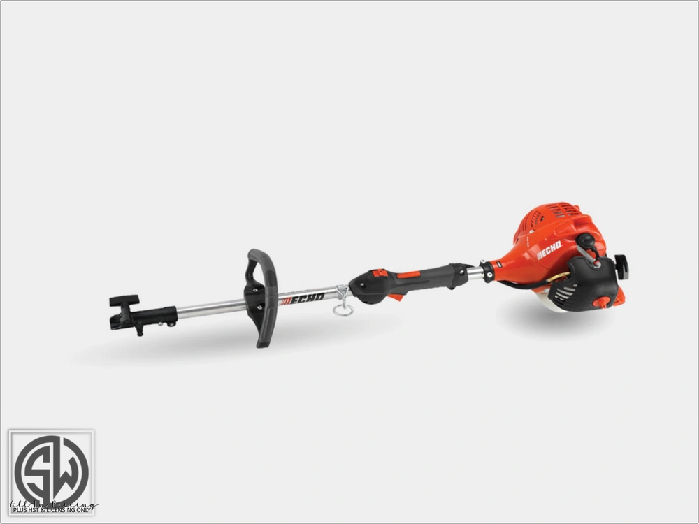 2024 Echo Pas-225 alt