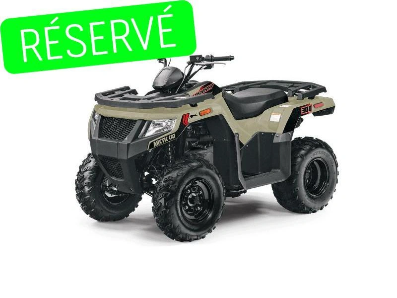 2024 Arctic Cat Alterra 300 alt