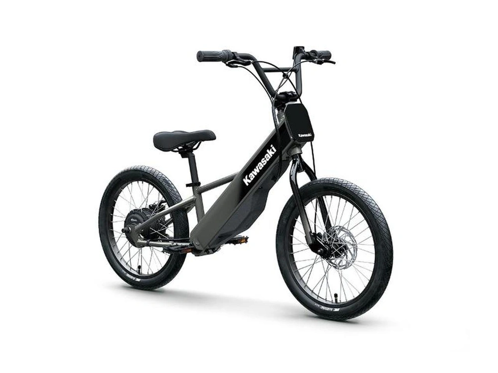 Kawasaki Elektrode 20fs 2025 alt