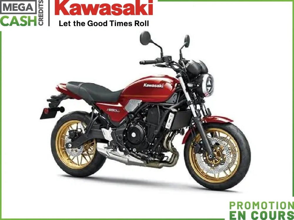 Kawasaki Z650 Rs 2024 alt