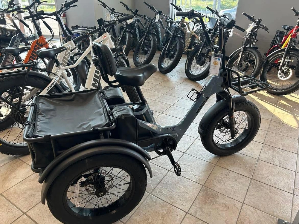 2025 Vamoose Cycle Tri-cycle Sst Velo Electrique alt