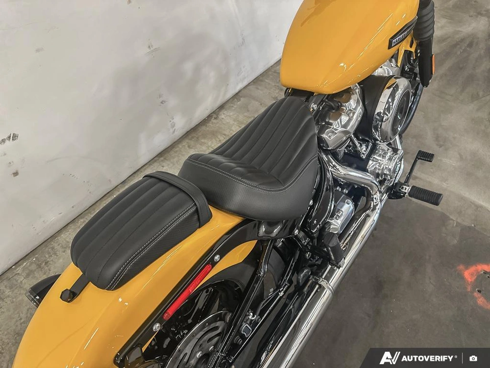 2025 Harley-davidson Street Bob alt