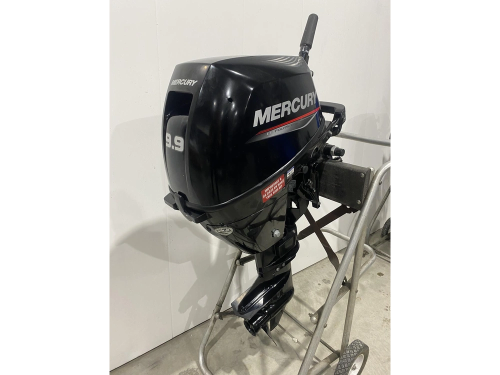 Mercury 9.9 Efi 2025 alt