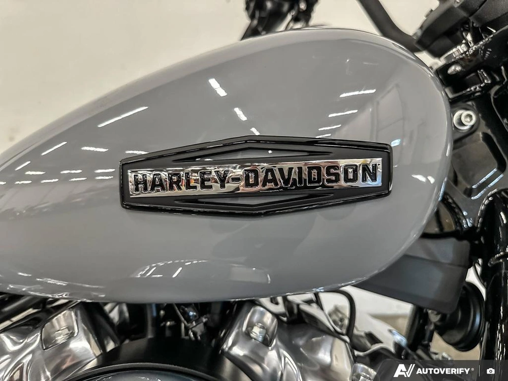 2026 Harley-davidson Street Bob alt