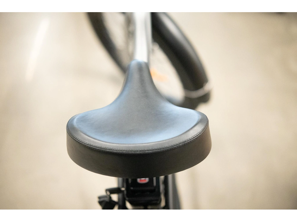 2024 Vamoose Cycle Cruiser X S0 alt