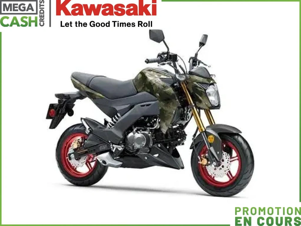Kawasaki Z 125 Pro 2025 alt