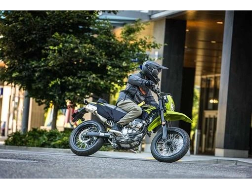 Kawasaki Klx 300 Sm 2026 alt