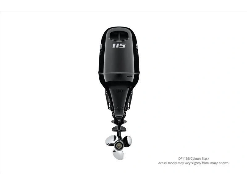 2024 Suzuki Df115btl alt