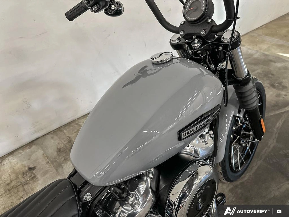 2026 Harley-davidson Street Bob alt