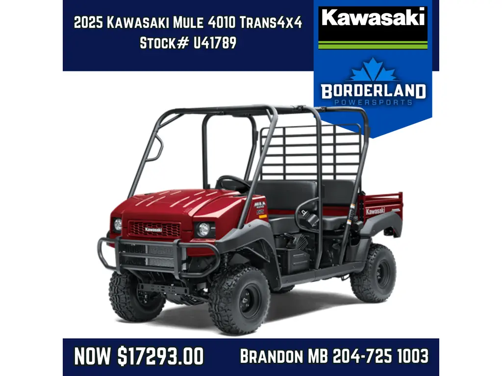 2025 Kawasaki Mule 4010 Trans4x4 