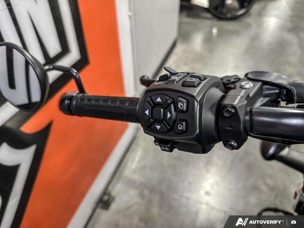 2023 Harley-davidson Nightster Special alt