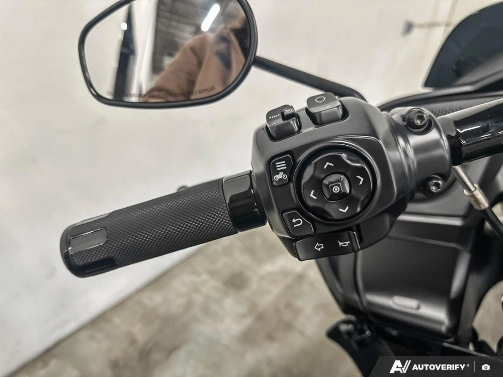 2025 Harley-davidson Fltrx - Road Glide® alt