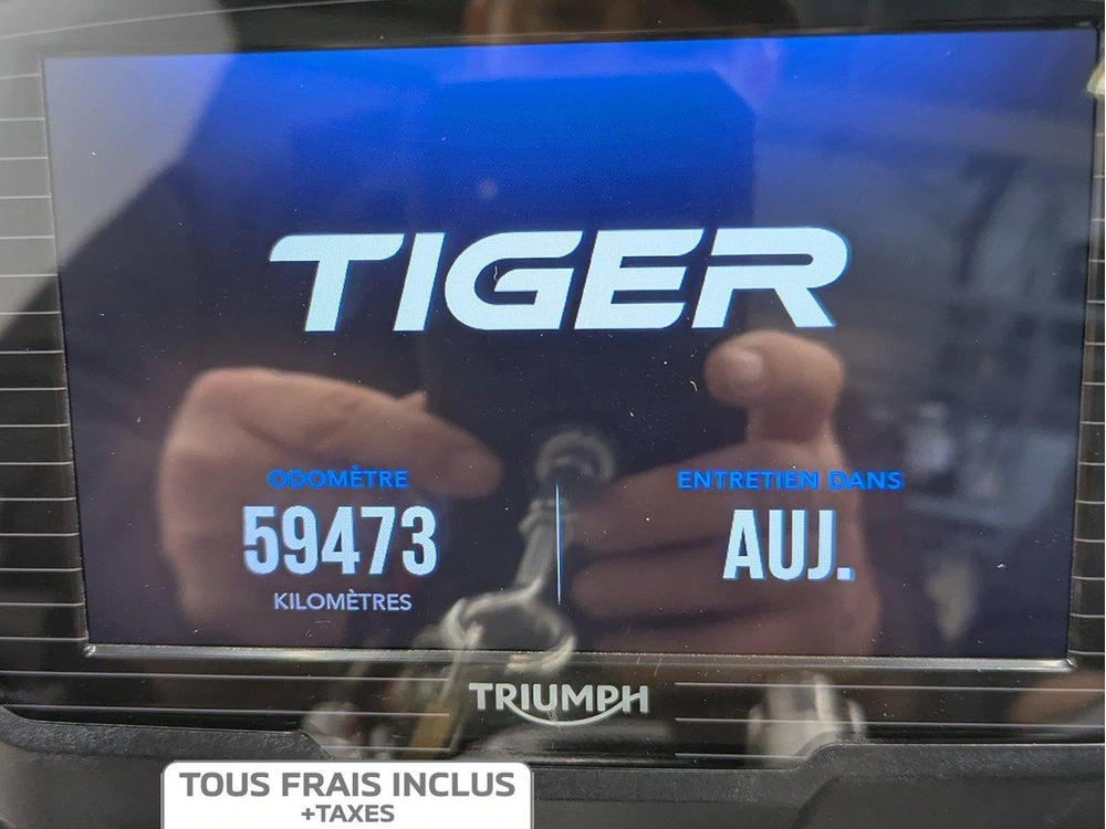 Triumph Tiger 1200 Explorer Xrt 2019 alt