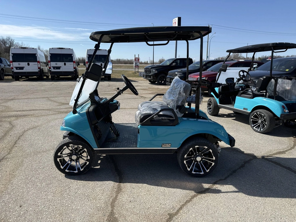 2025 Other Classic 2 Plus alt